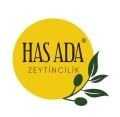 HASADA YEŞİL ZEYTİN