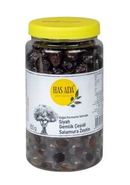 GEMLİK SALAMURA ZEYTİN 1 LİK PET KAV.